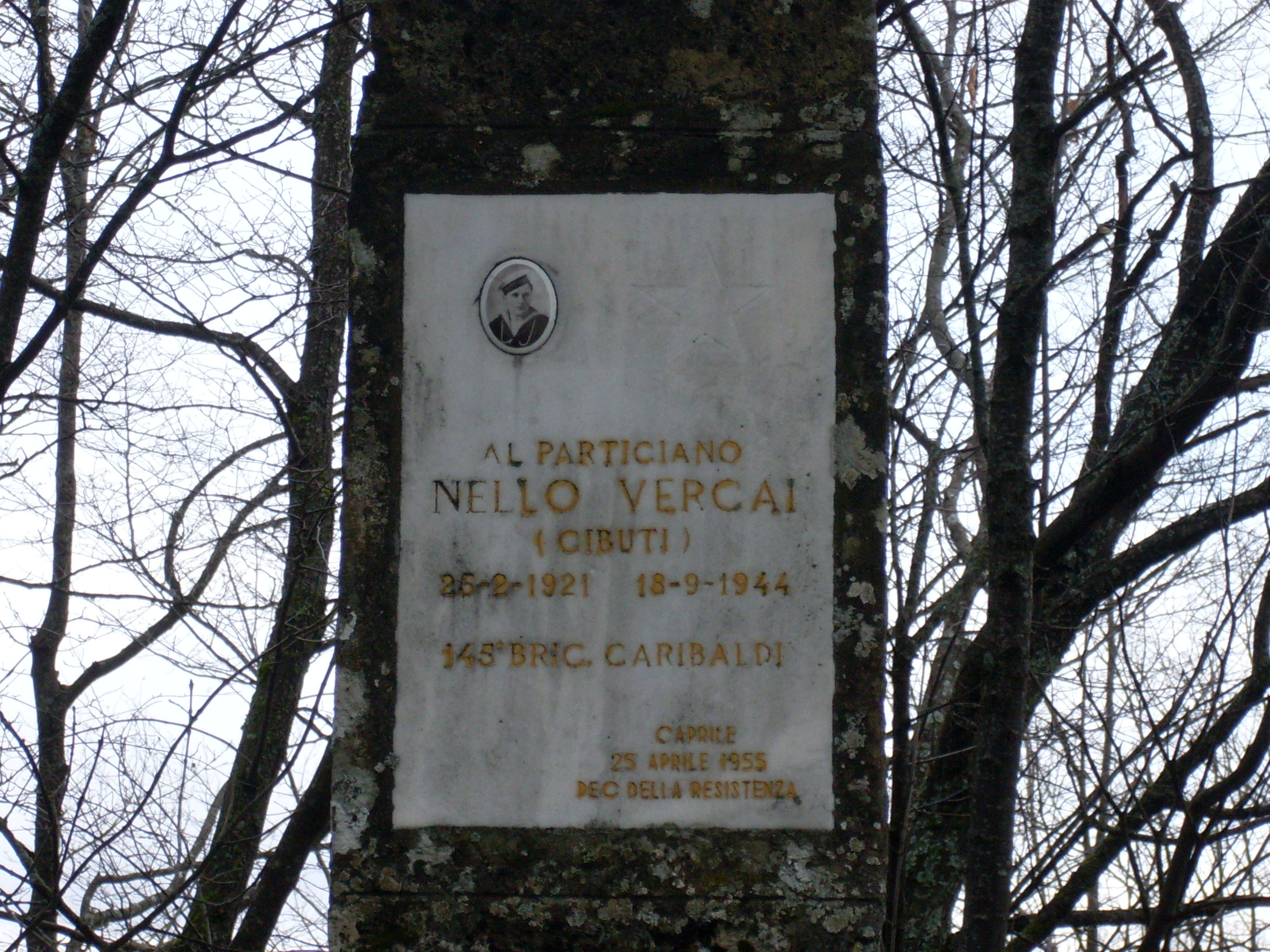  Immagine CIPPO CAPRILE