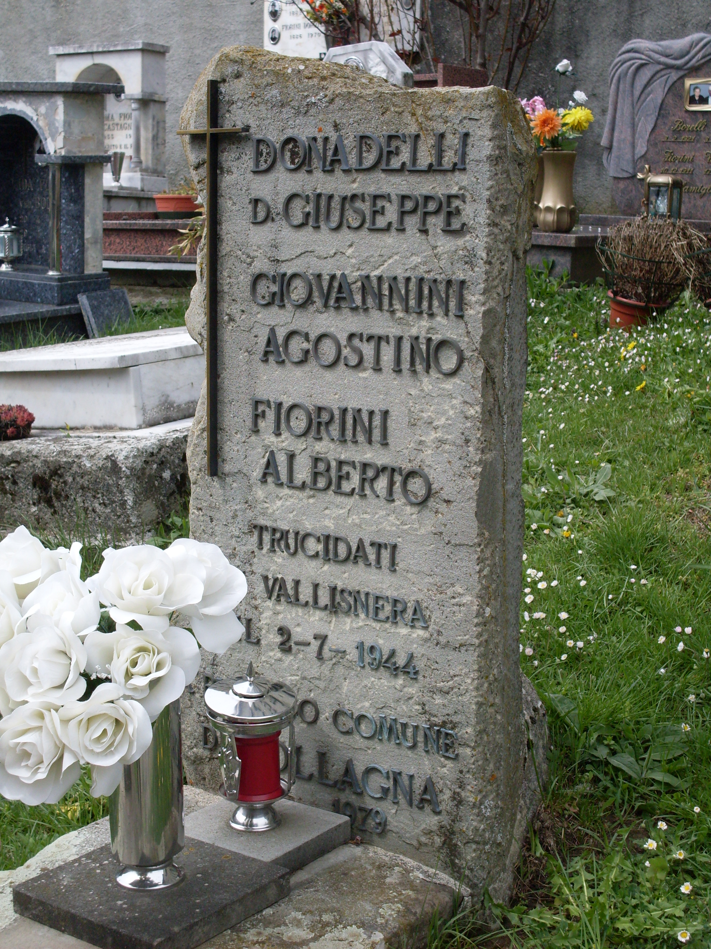  Immagine CIPPO VALLISNERA